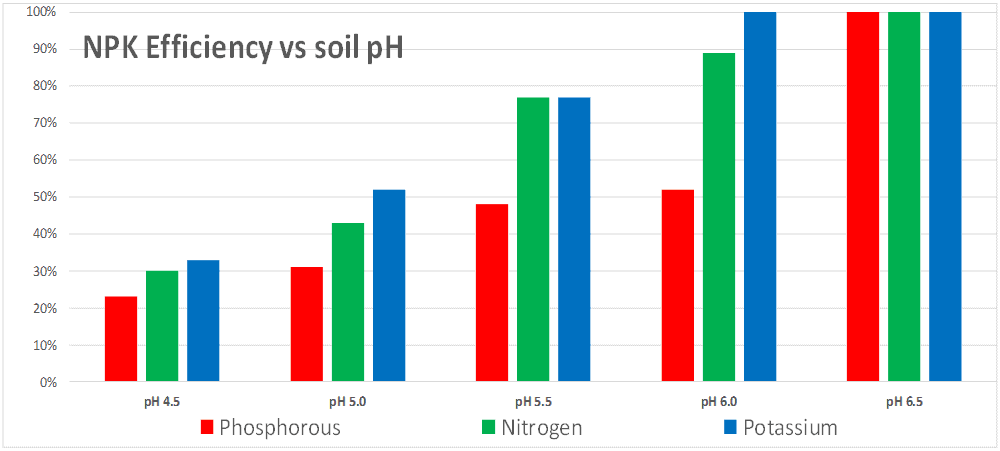 potato farming facts