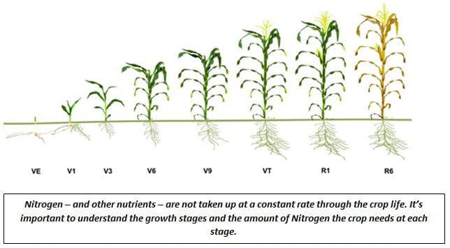 Top Dressing Fertilizer For Maize