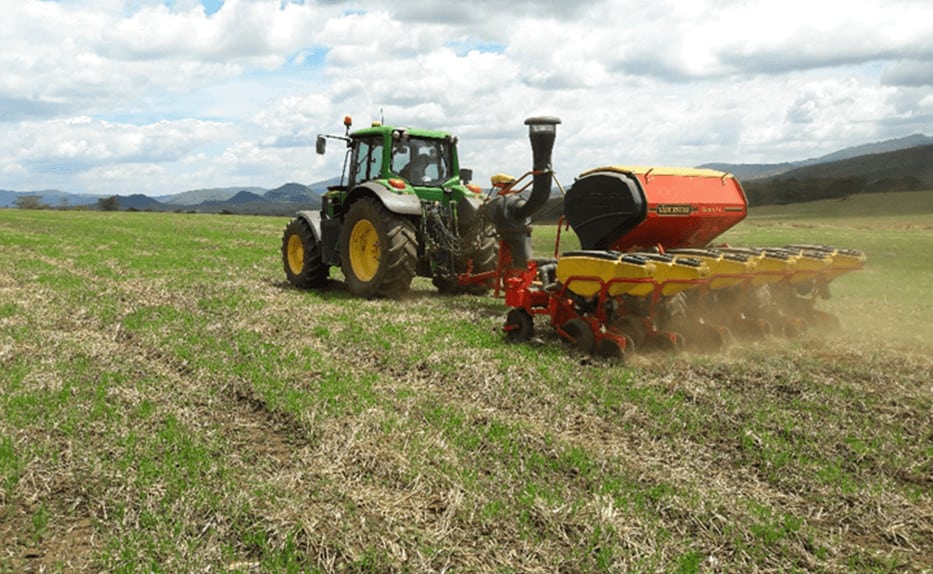 Pioneer Kenya seed company Pannar maize seed varieties