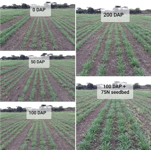 soil testing