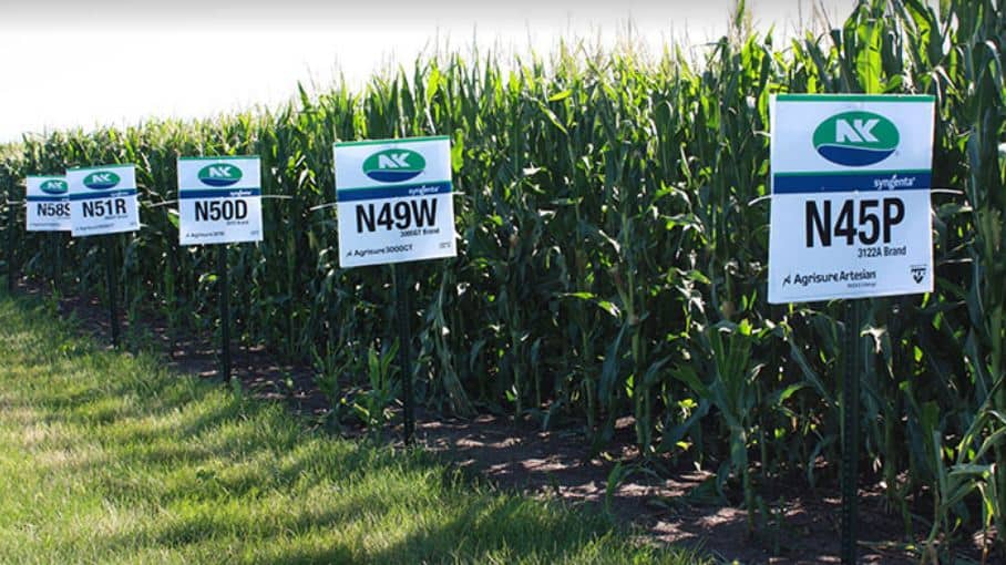 control of fall army worm genetically modified maize