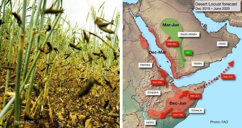 Kenya Locust Situation Update [Jan/Feb 2020]