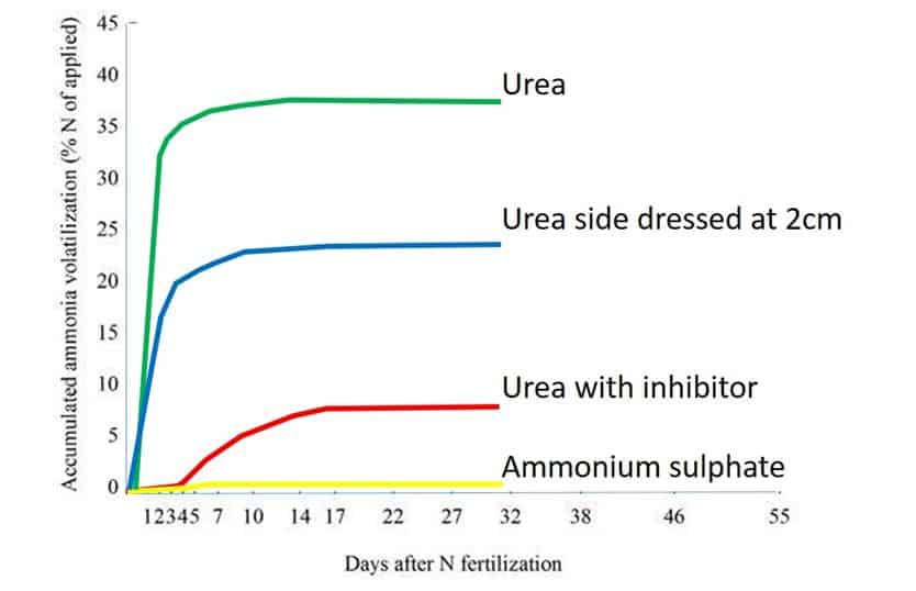 which fertilizer is good fr top dressing maize