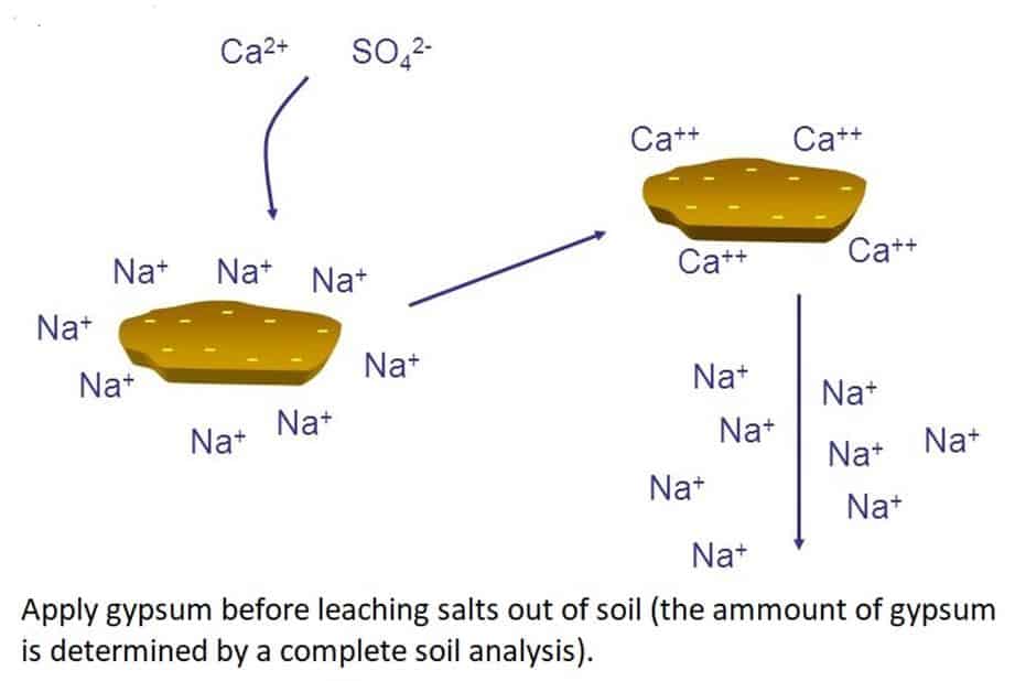 ECe soil salinity