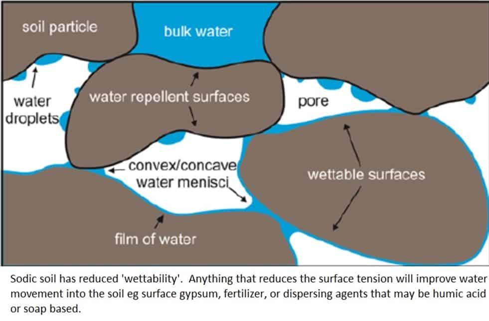 how can problems of alkalinity and salinity of soils can be tackled