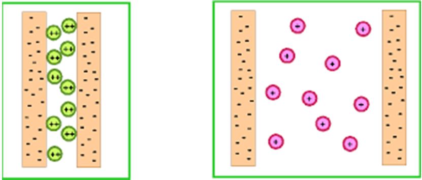 sodic saline soils