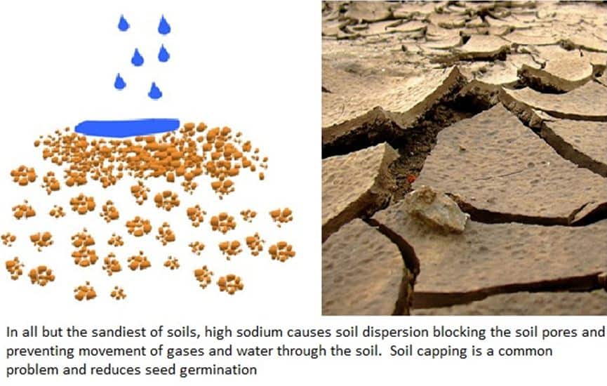 methods of removing salts from sodium soil