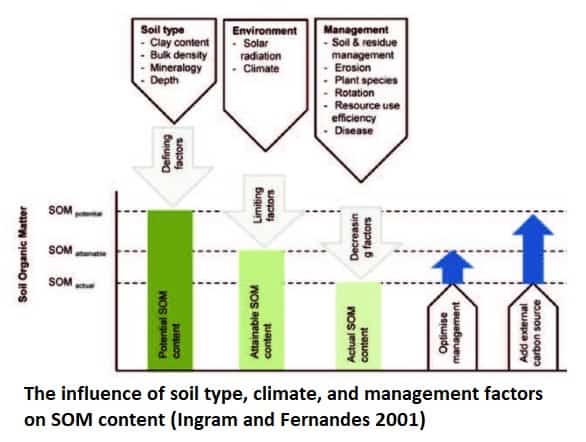 factors affecting soil organic matter