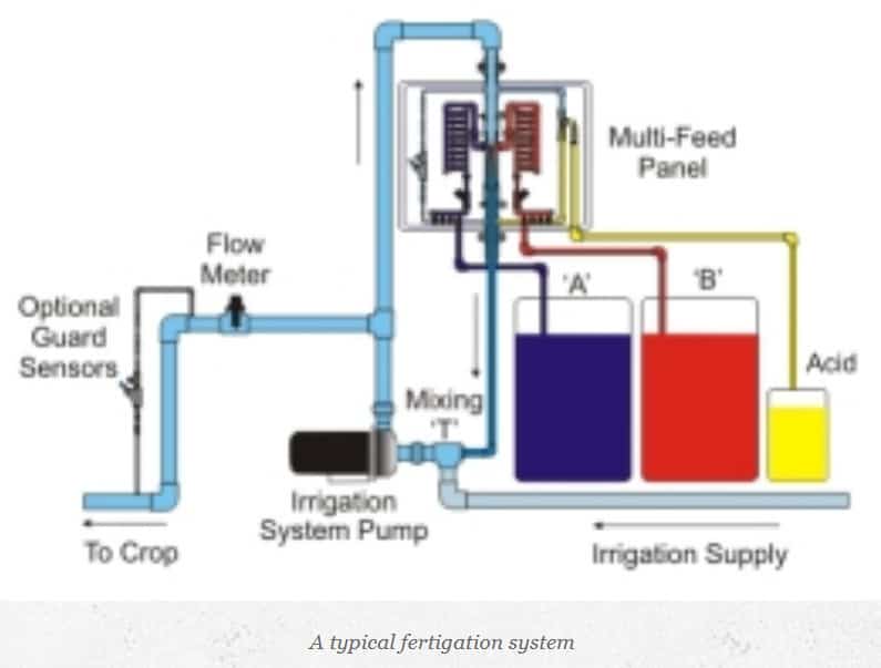 commercial simple fertigation system