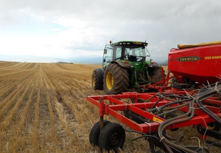 Avoiding Lodging In Cereals Cropnuts