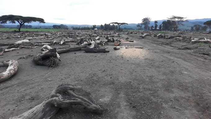 how to prevent flooding on farms