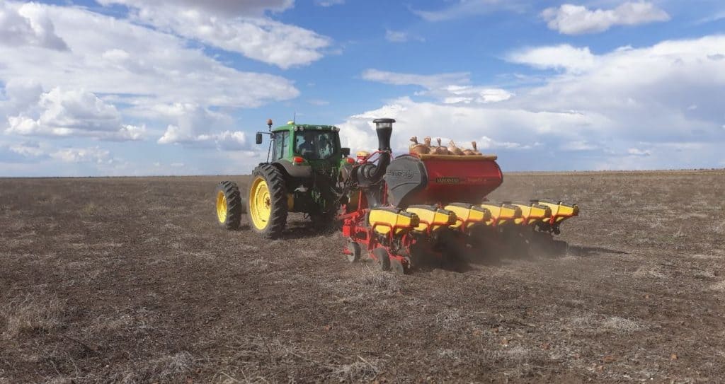 how to control weed in maize farm weed control