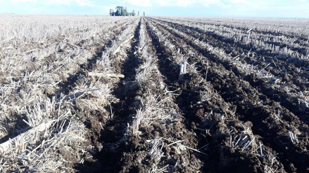 soil seedbed preparation for maize wheat barley
