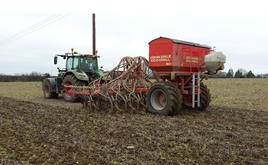 maize wheat barley planting