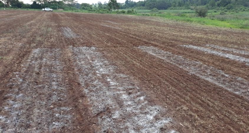 Gypsum Vs Lime Thoughts On Agricultural Gypsum Cropnuts