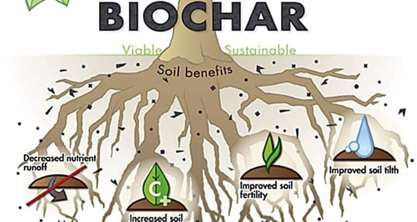 The Bountiful Benefits Of Biochar