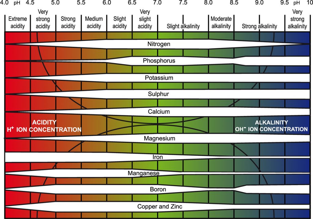 Influence of soil pH on plant nutrient availability