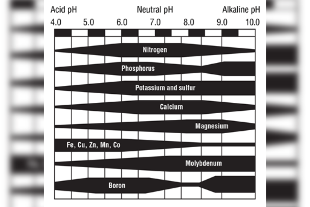 Lime for soil pH adjustment