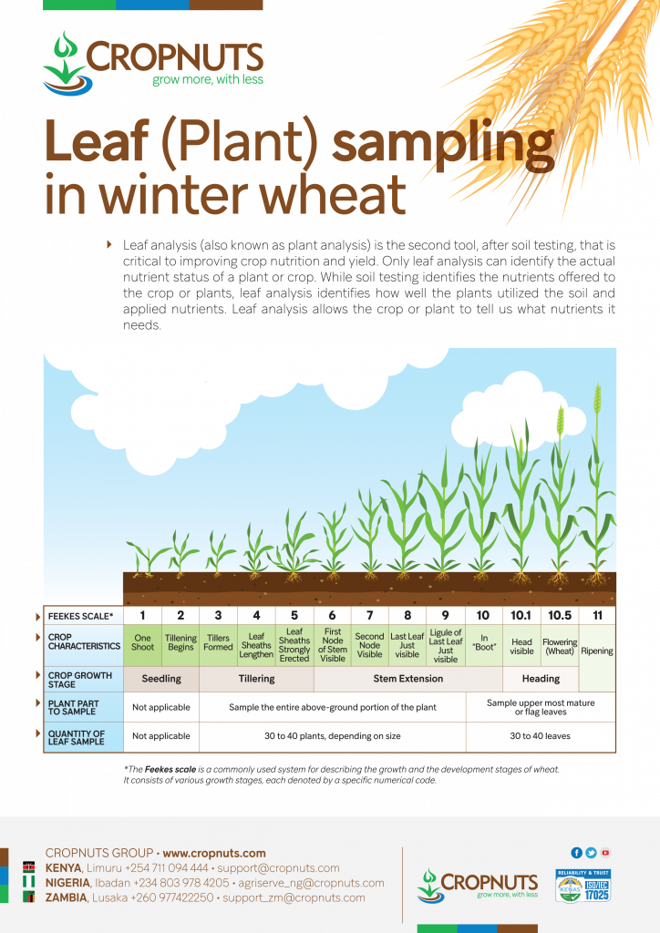 Mild winter: A summary analysis of the winter of 2023 - Field Crops