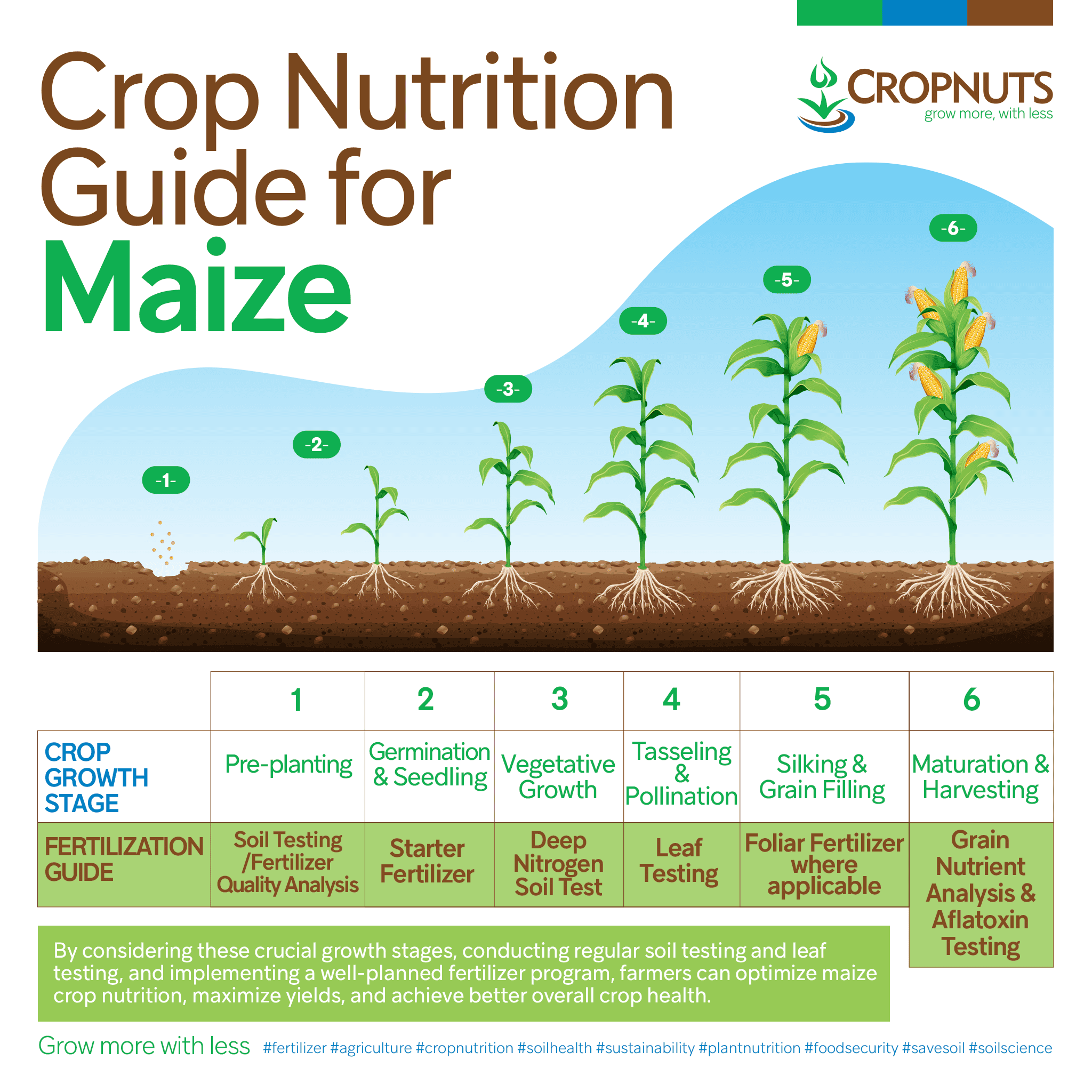 maize-crop-nutrition-guide-cropnuts