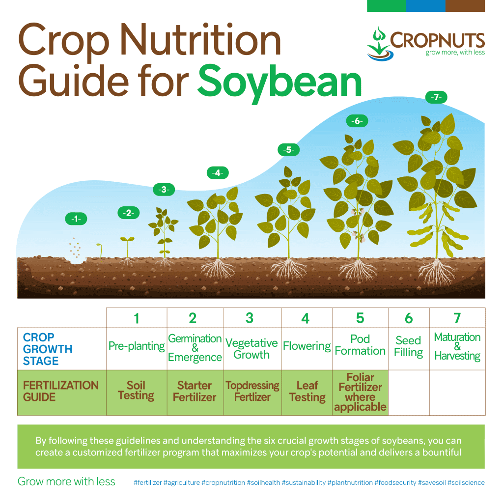 wheat-crop-nutrition-guide-cropnuts