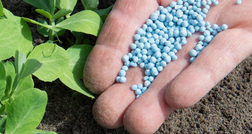 Sustainable Fertilizer Practices