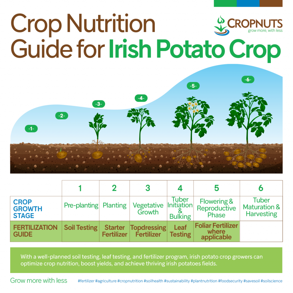 Crop Nutrition plan for Irish potato