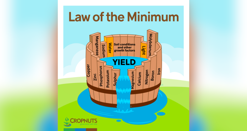 The Law of the Minimum