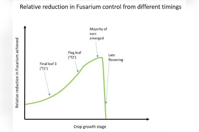 Fusarium head blight fungicide timing