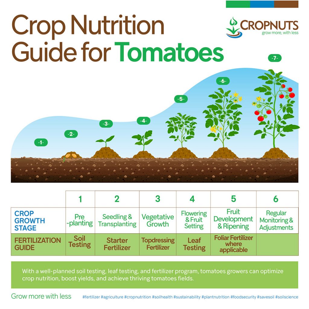 Tomato plant nutrient requirements