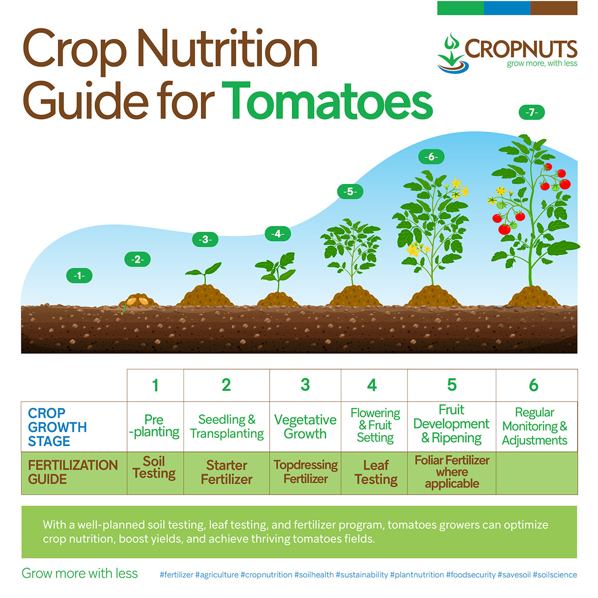 Tomato Crop Nutrition Guide 🍅 - Cropnuts