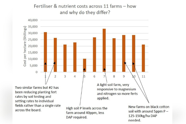 Is wheat farming profitable in Kenya