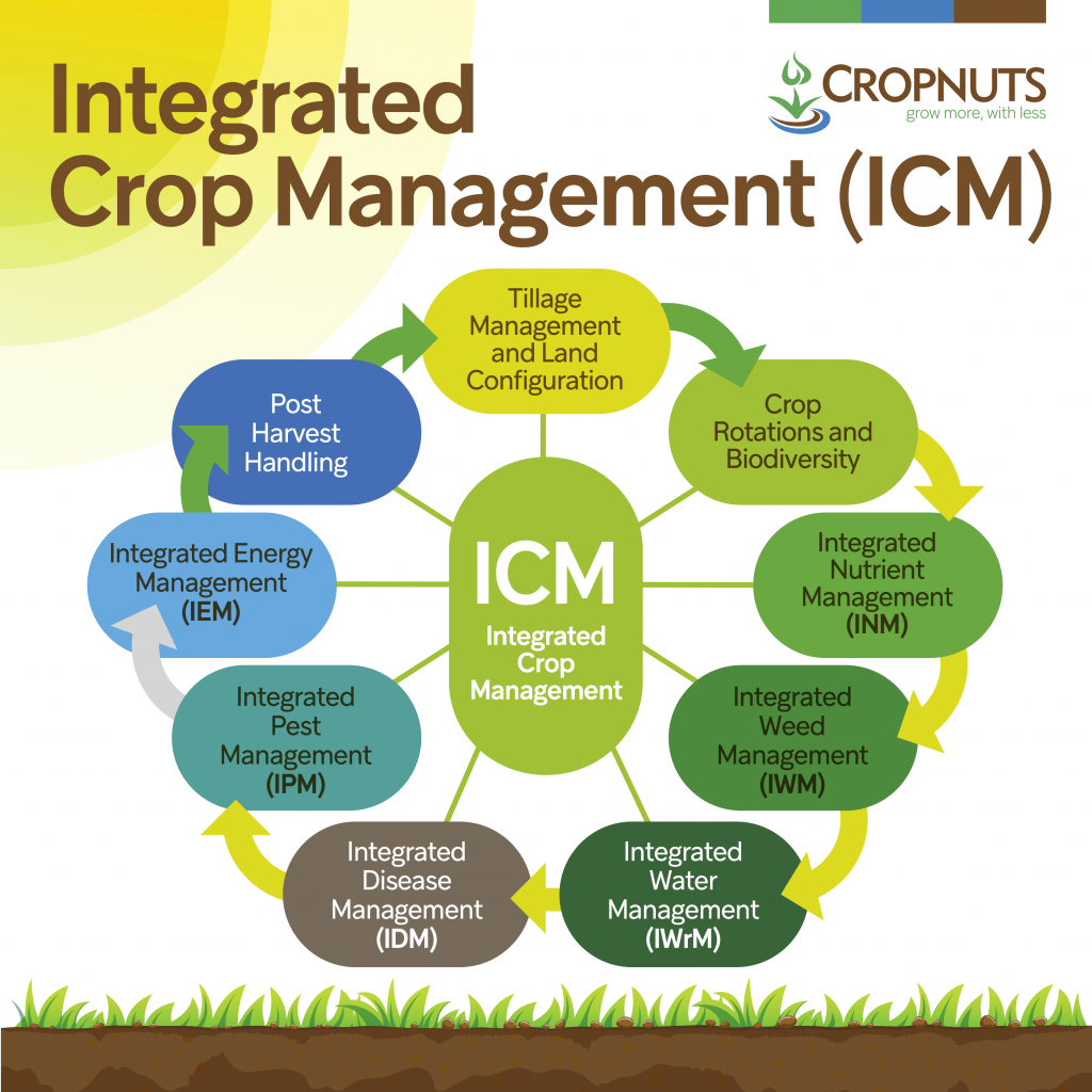 Integrated Crop Management ICM