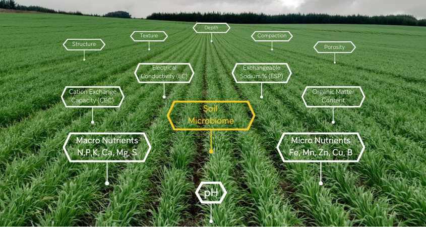 Revolutionising Soil Health Assessment