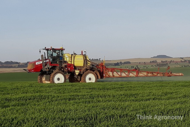 Battling Broadleaf Weeds in Cereals